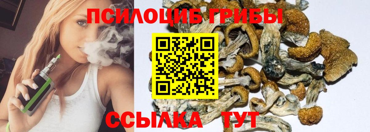 Черногорск  Галлюциногенные грибы MAGIC MUSHROOMS  Вход с VPN 