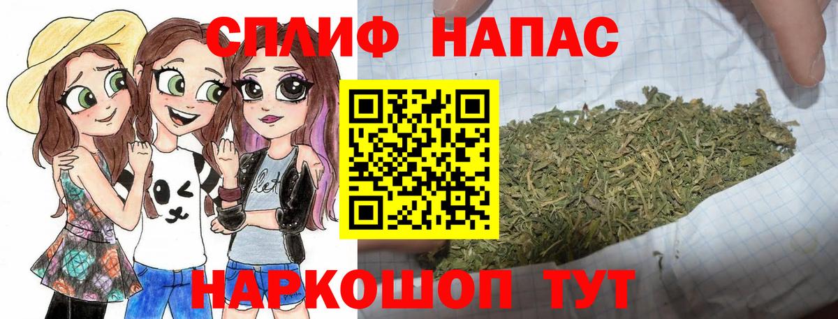 Бошки марихуана план  Вход с VPN  Бошки Шишки план  Каннабис тримм  Черногорск  Канабис SATIVA & INDICA 